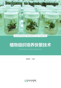 神陆传说