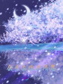 青花碎梦
